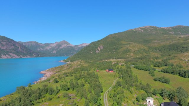 vikan 9